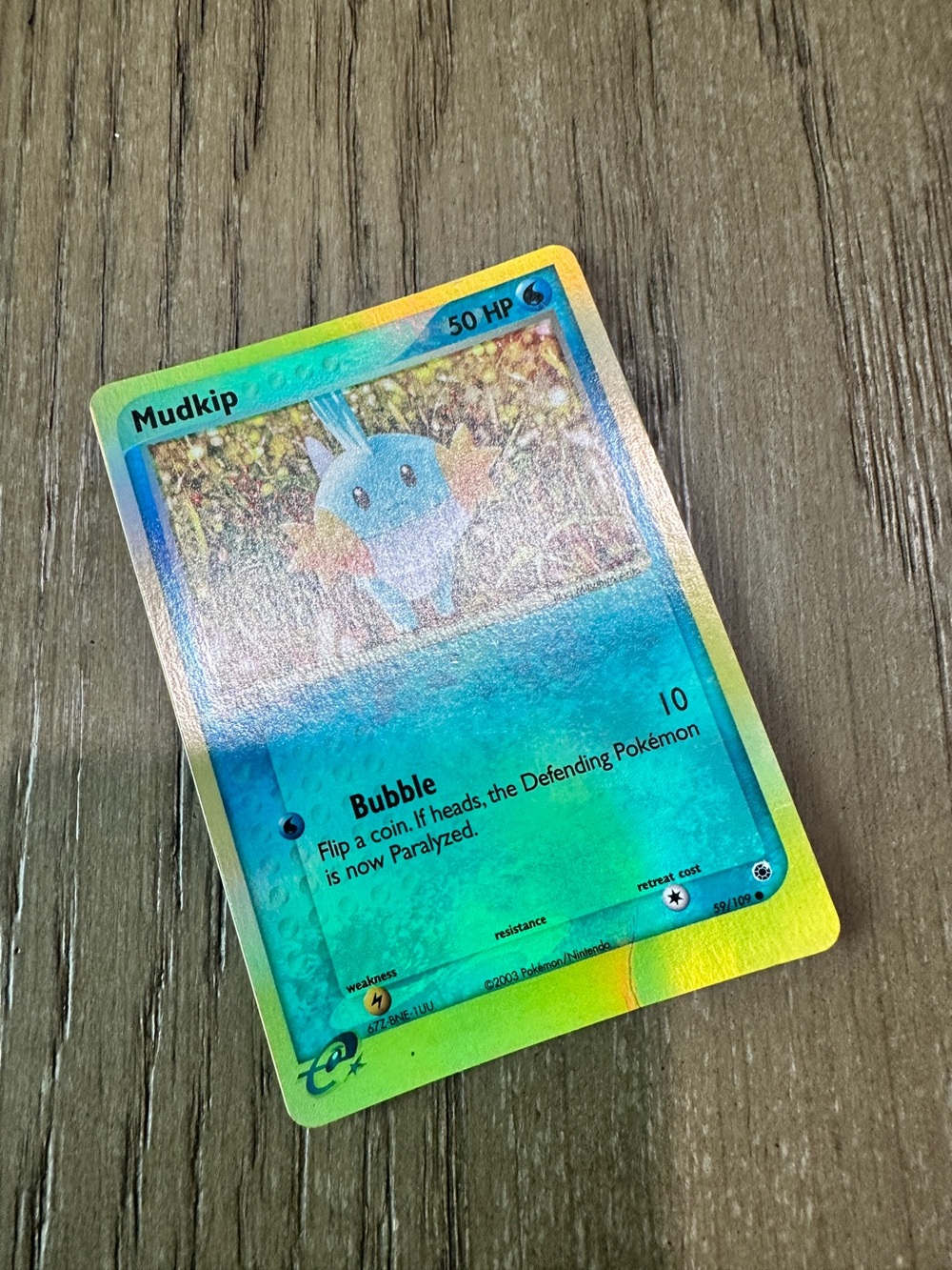Mudkip  Pokémon Card - Halo - Picture 2 of 6